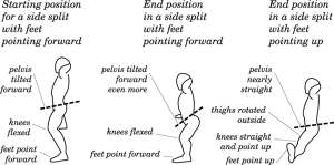 Side split: pelvis tilted forward or thighs rotated outward