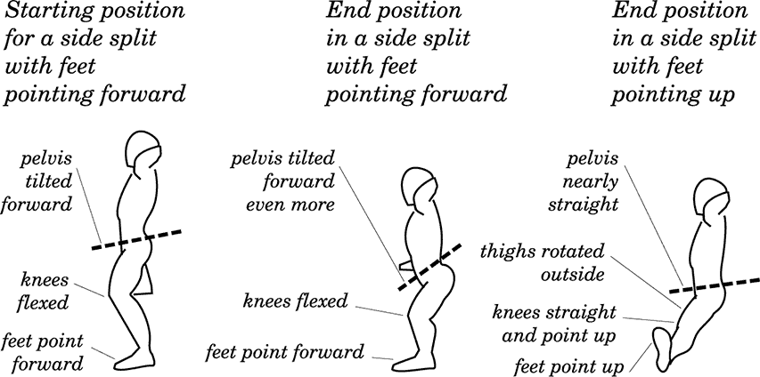 Knee Joint Integrity and Middle Splits