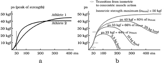 Strength curves for different athletes and for various weights (Tidow 1990)